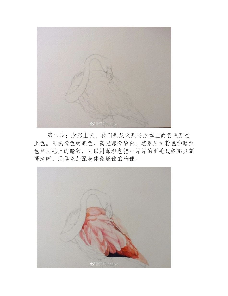 简单易学的水彩画火烈鸟教程水彩画教程1_第2页