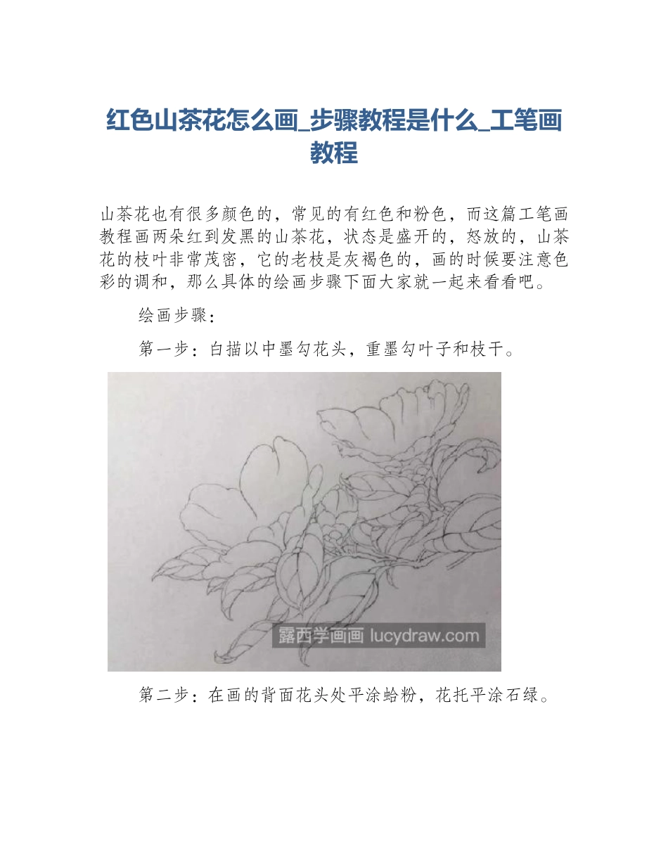 红色山茶花怎么画_步骤教程是什么_工笔画教程_第1页