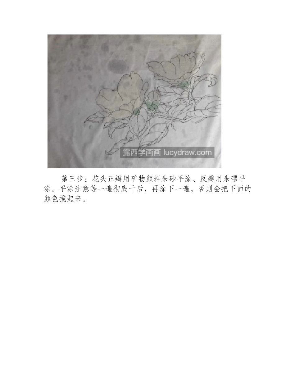 红色山茶花怎么画_步骤教程是什么_工笔画教程_第2页