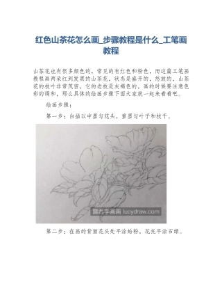 红色山茶花怎么画_步骤教程是什么_工笔画教程
