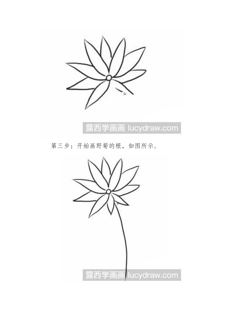 简笔画教程：教你画野菊简笔画教程_第2页