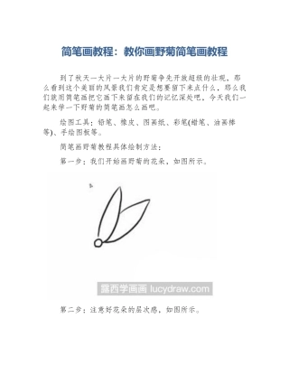 简笔画教程：教你画野菊简笔画教程