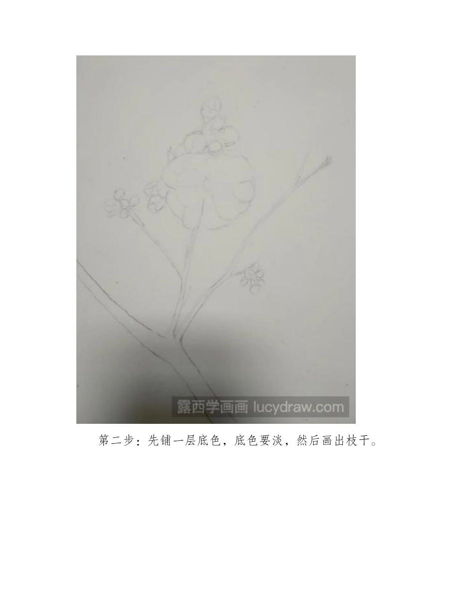 教你用水彩画一枝春天的花朵水彩画教程_第2页