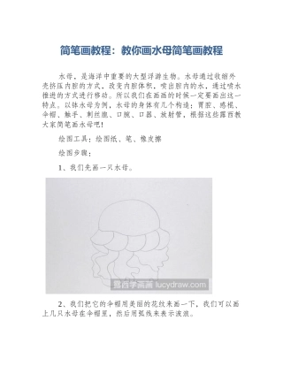 简笔画教程：教你画水母简笔画教程