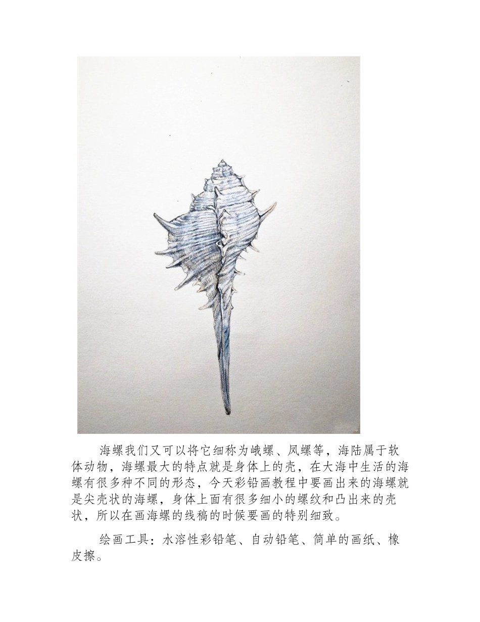 海螺彩铅画手绘教程彩铅画教程_第2页