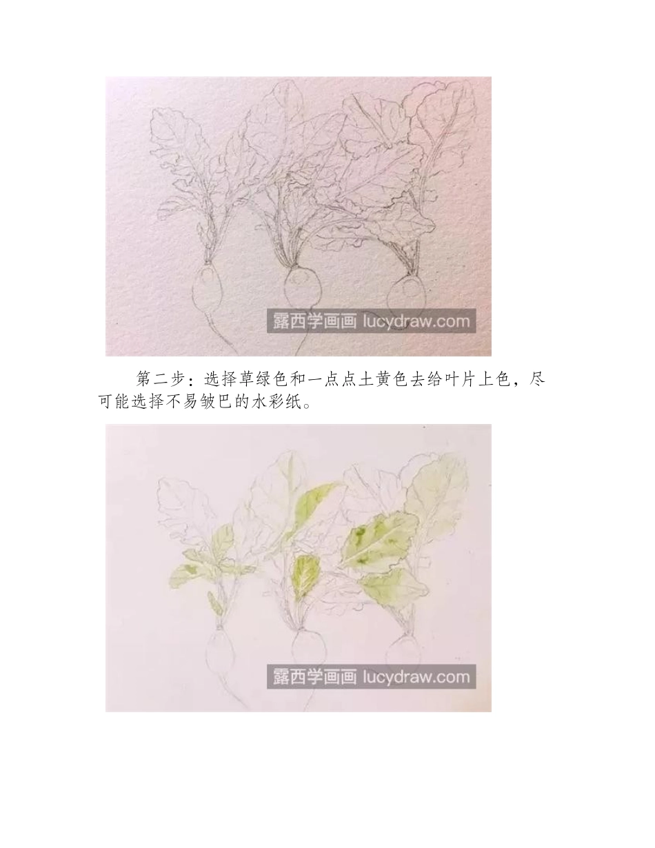 红萝卜怎么画_教你画三个水彩红萝卜水彩画教程_第2页