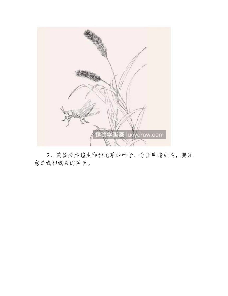 蝗虫怎么画_详细的工笔画步骤有哪些_工笔画教程_第2页