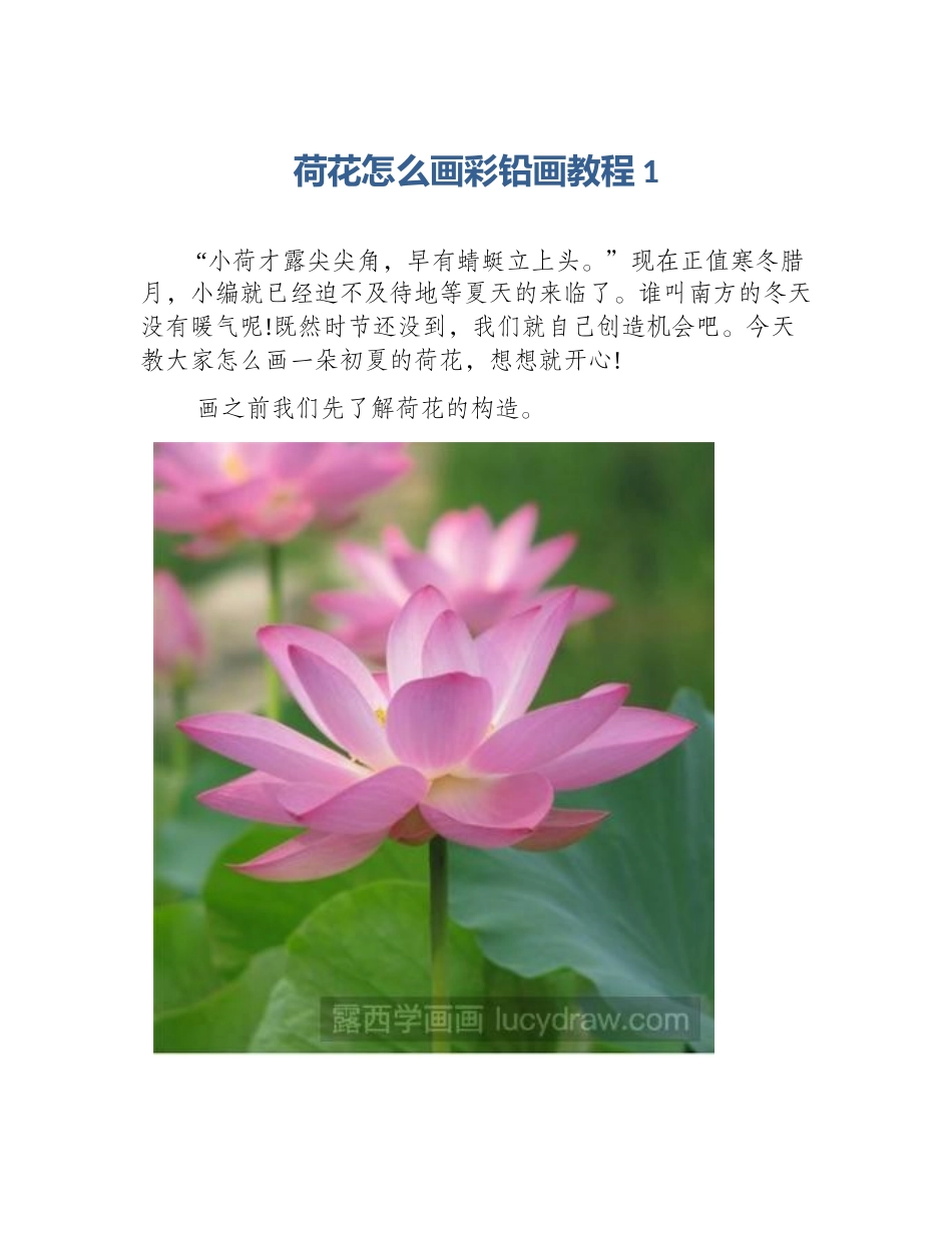 荷花怎么画彩铅画教程1_第1页