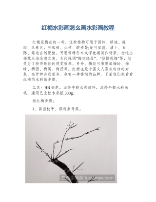 红梅水彩画怎么画水彩画教程