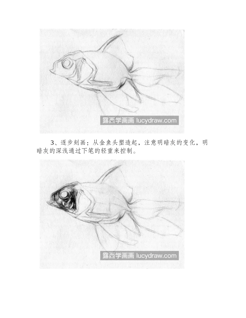 黑色金鱼怎么画_绘画步骤是什么_素描教程_第2页