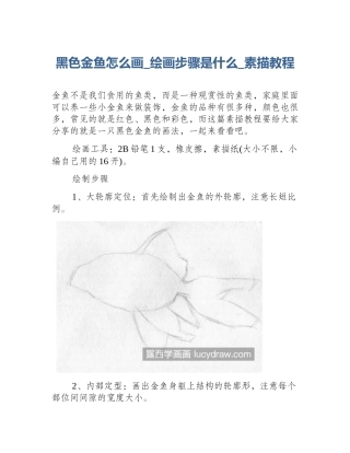 黑色金鱼怎么画_绘画步骤是什么_素描教程