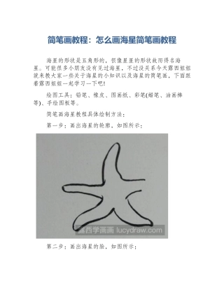 简笔画教程：怎么画海星简笔画教程