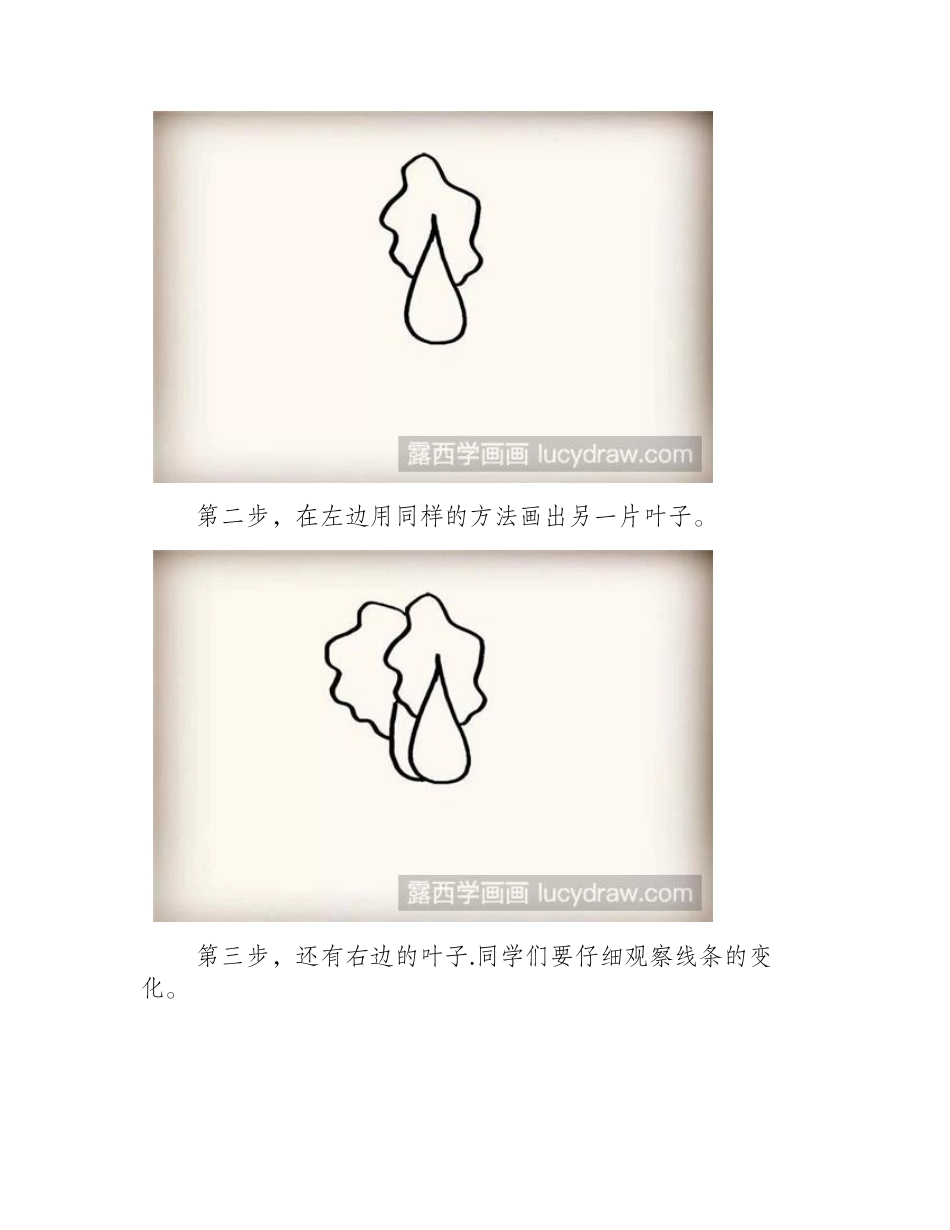 简笔画白菜的画法简笔画教程1_第2页