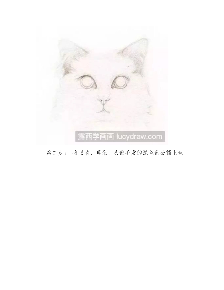 教你水彩画一只猫咪水彩画教程_第2页