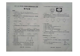 河南省洛阳市伊川县2019-2020学年七年级下期期末质量调研检测数学试题(无答案)