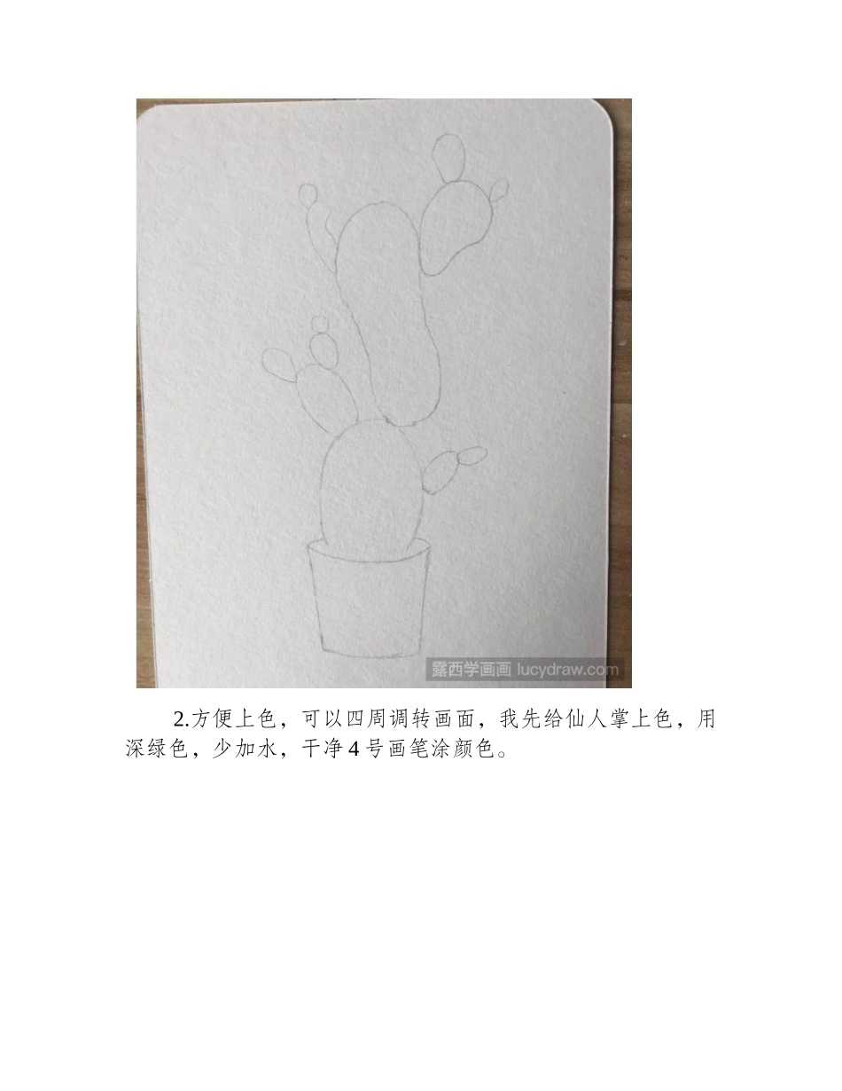 脚丫仙人掌水彩画绘画步骤是什么_水彩画教程_第2页