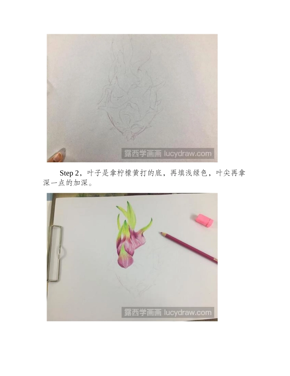 火龙果彩铅步骤彩铅画教程_第2页
