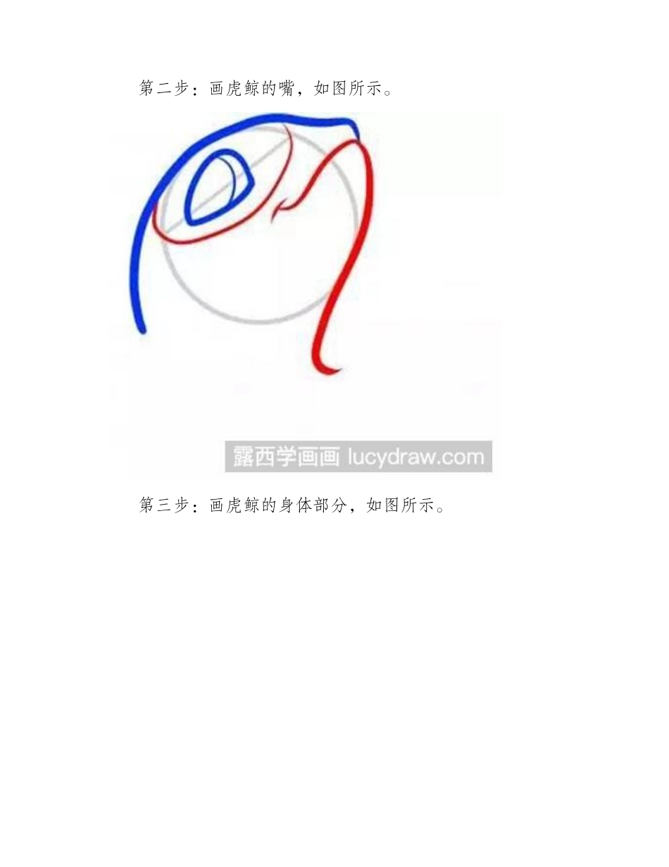 教你画虎鲸简笔画教程_第2页