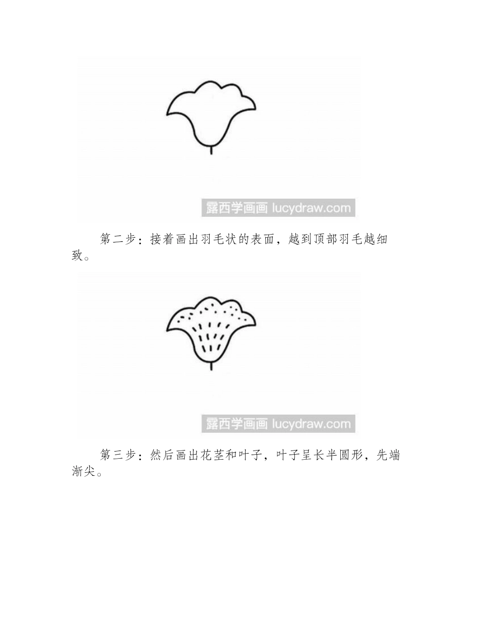 简笔画：像鸡冠一样的鸡冠花简笔画教程_第2页