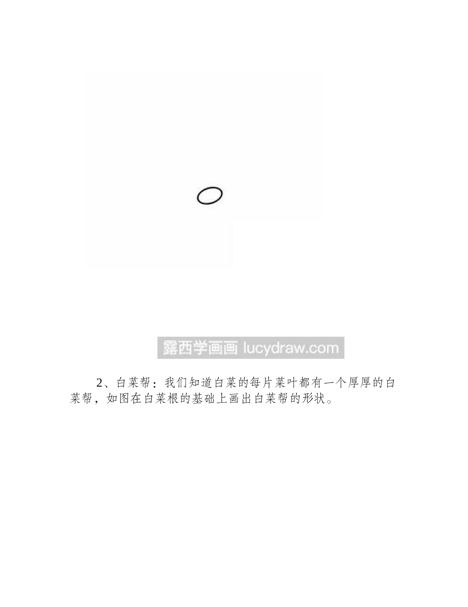 简笔画教程：教你画白菜简笔画教程_第2页