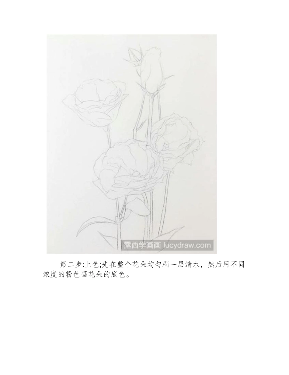 画洋桔梗的步骤简单易学水彩画教程1_第2页