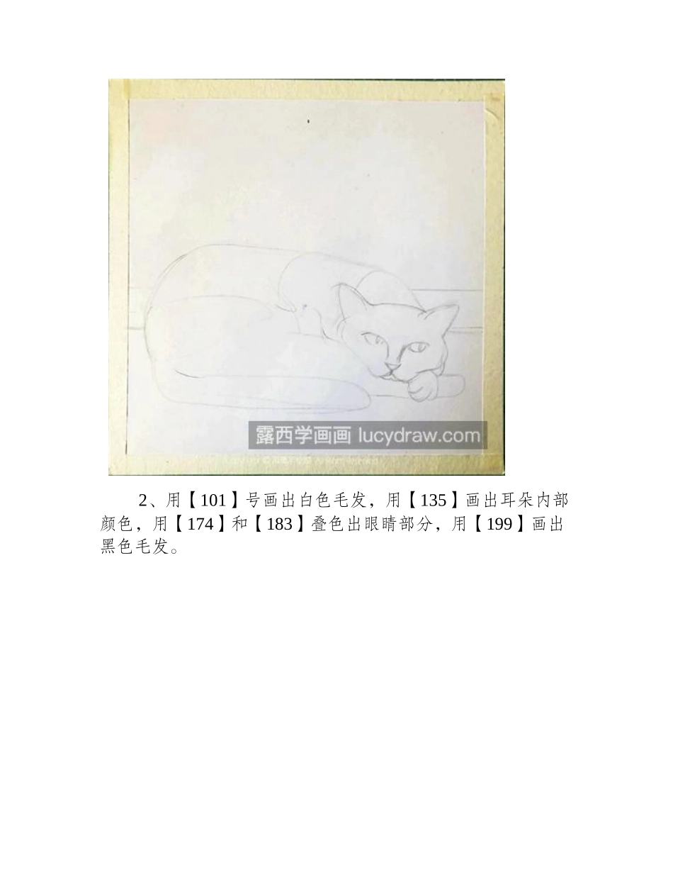 黑色猫咪怎么画_猫咪的油画步骤有哪些_油画教程_第2页