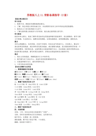 八年级语文上11.背影备课教案（2套）苏教版