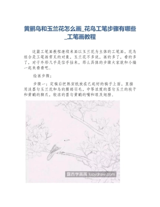 黄鹂鸟和玉兰花怎么画_花鸟工笔步骤有哪些_工笔画教程