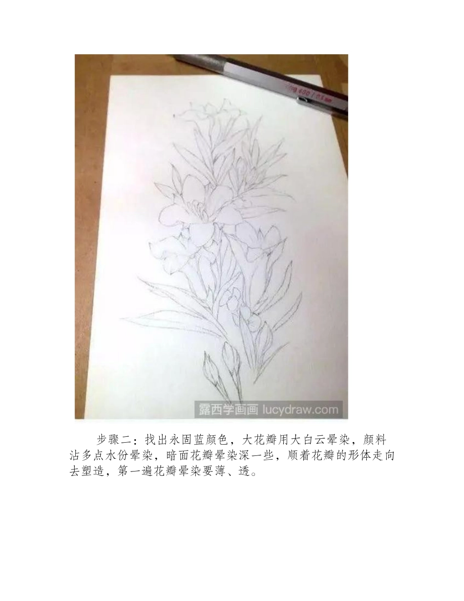 教大家怎么画桔梗花水彩画教程2_第2页