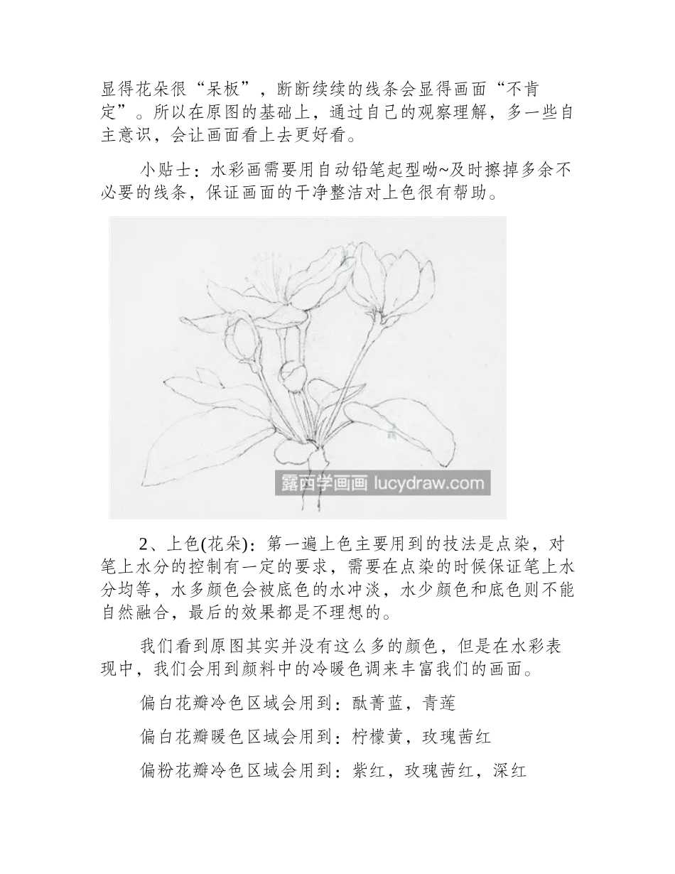 海棠花怎么画_烟雨海棠水彩画步骤是什么_水彩画教程_第2页