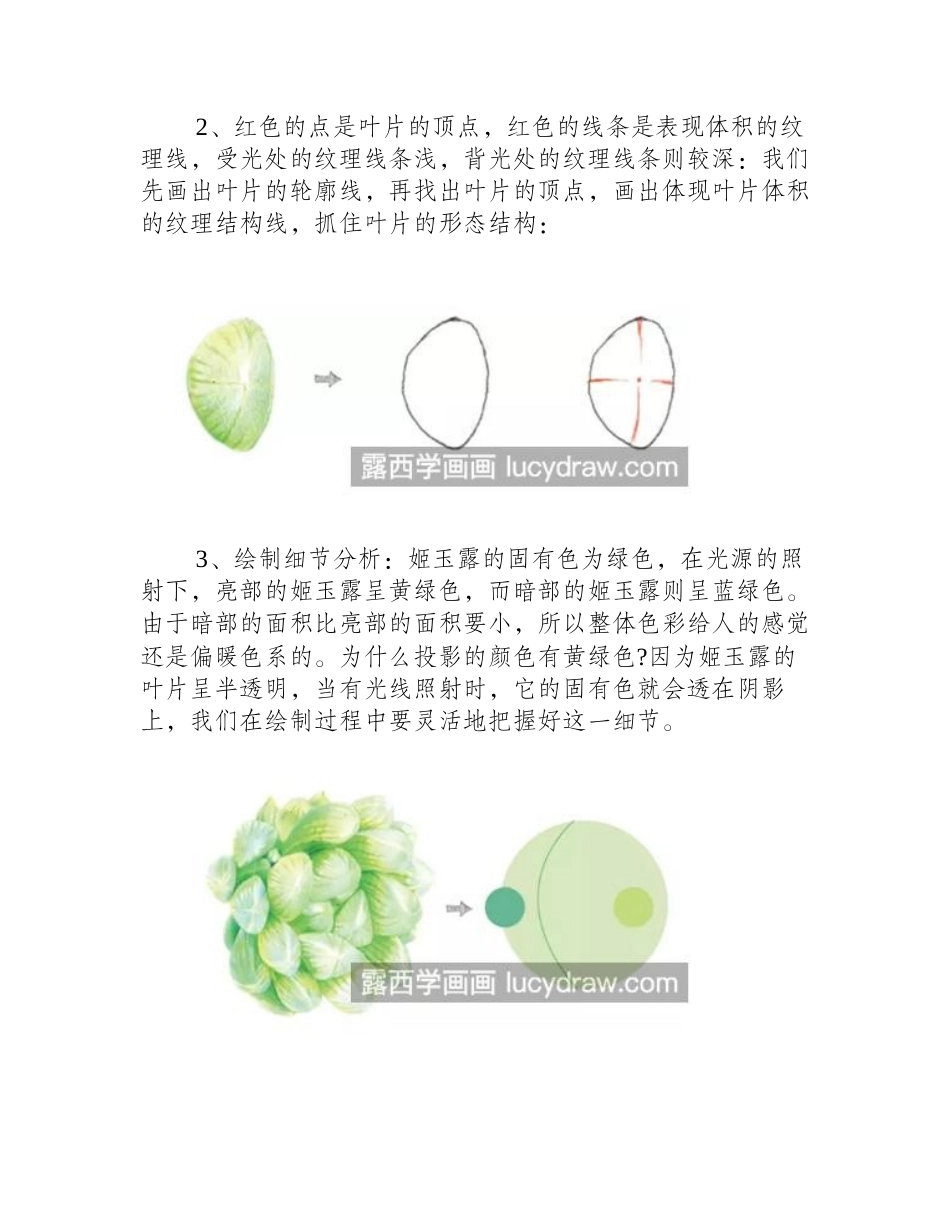 姬玉露怎么画_具体的彩铅绘画步骤是什么_彩铅画教程_第2页