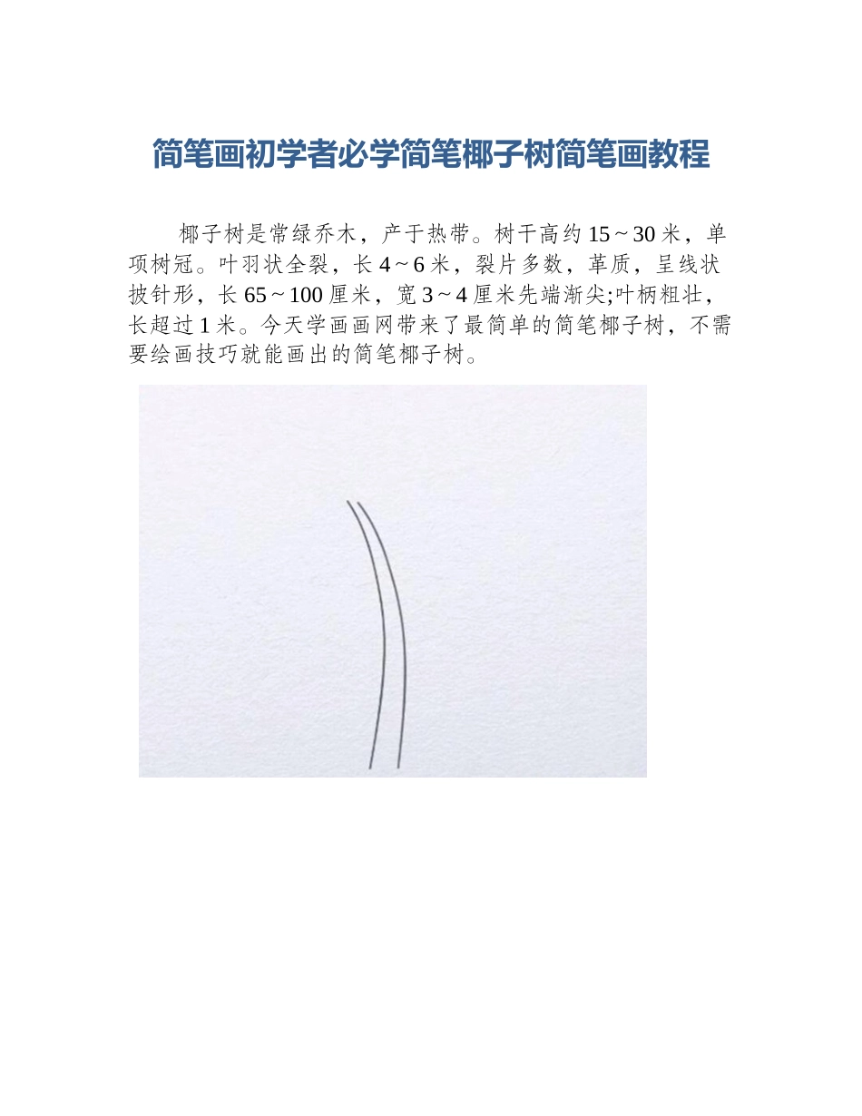 简笔画初学者必学简笔椰子树简笔画教程_第1页