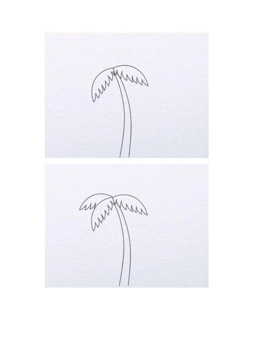 简笔画初学者必学简笔椰子树简笔画教程_第2页