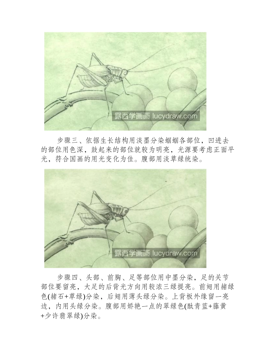 果子上的蝈蝈怎么画_具体的步骤有几步_工笔画教程_第2页