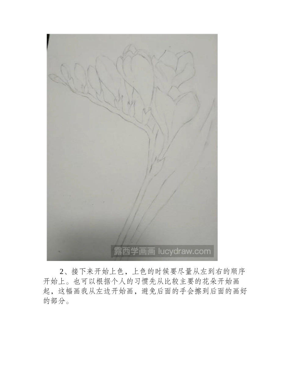 教你画小苍兰水彩画教程_第2页