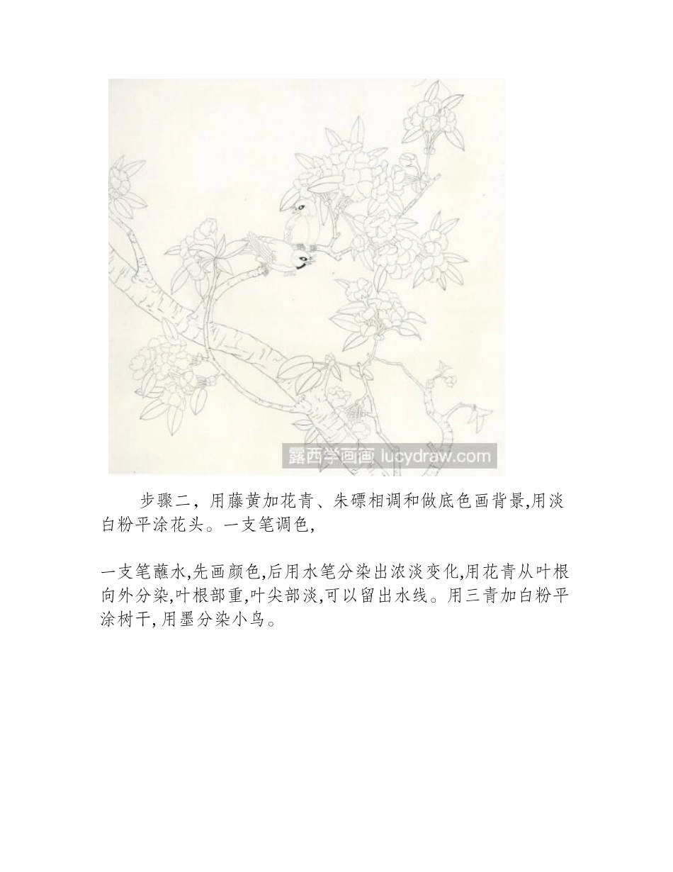 海棠花工笔画教程工笔画教程_第2页