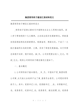 集团领导班子建设汇报材料范文