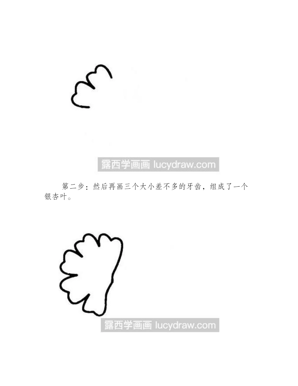 简笔画教程：教你画银杏叶简笔画教程_第2页