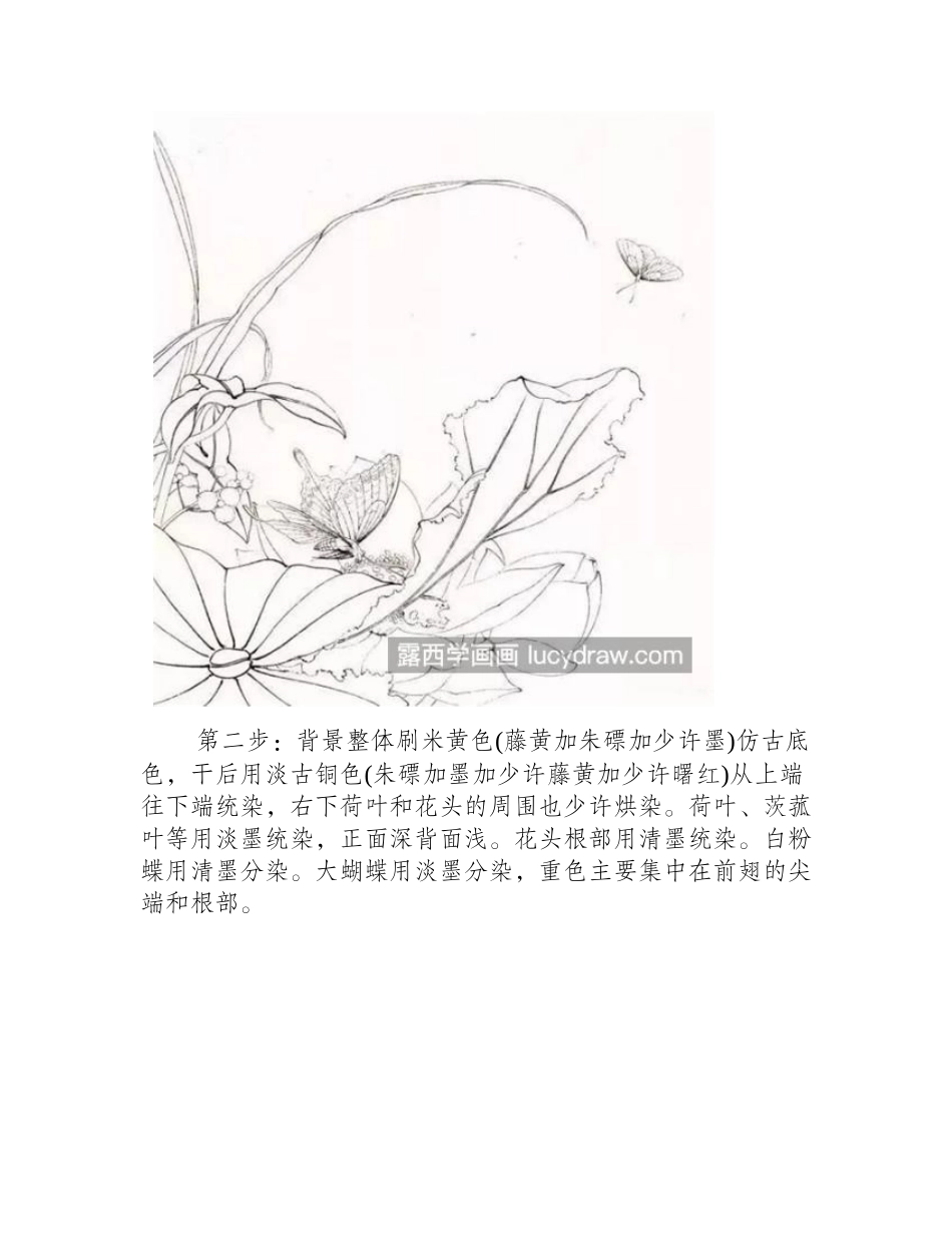 荷花蝴蝶怎么画_详细的绘画过程是什么_工笔画教程_第2页