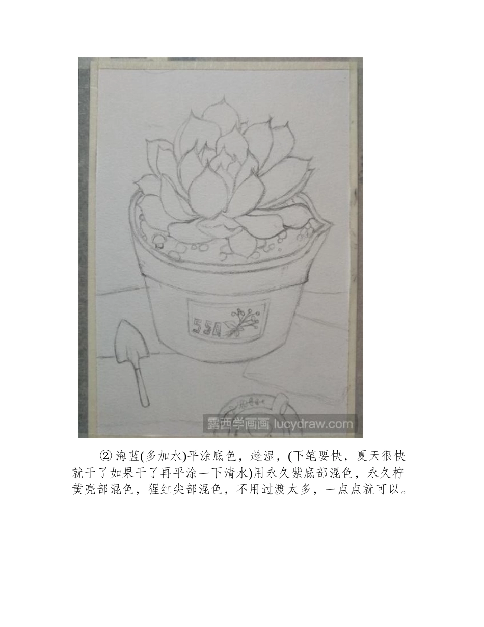 吉娃娃水彩画怎么画_多肉水彩画教程分享！水彩画教程1_第2页