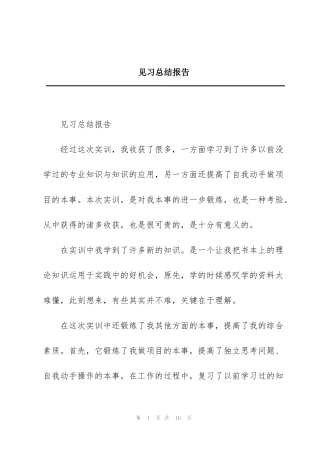 见习总结报告