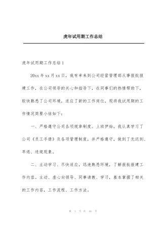 虎年试用期工作总结