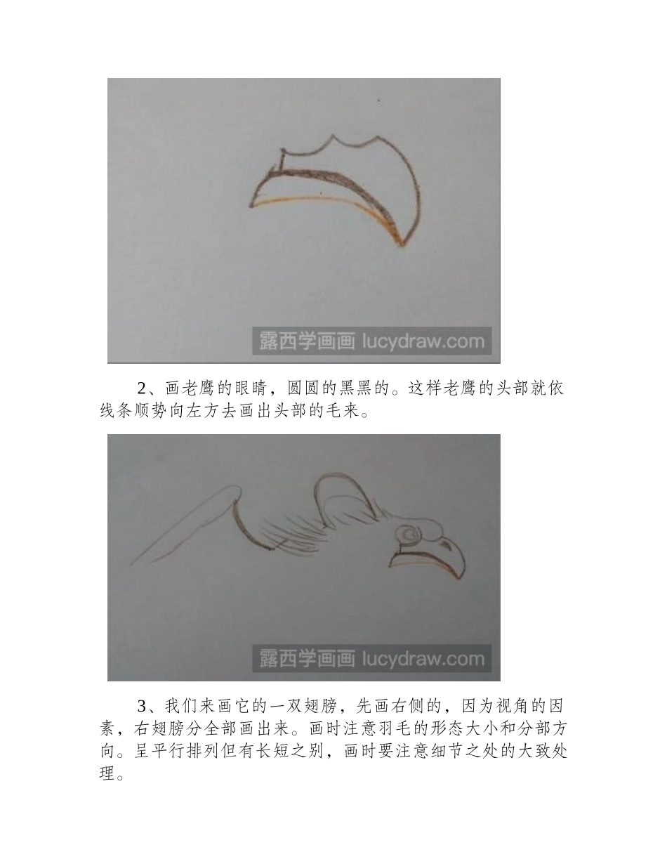 教你用彩笔画老鹰儿童画教程_第2页