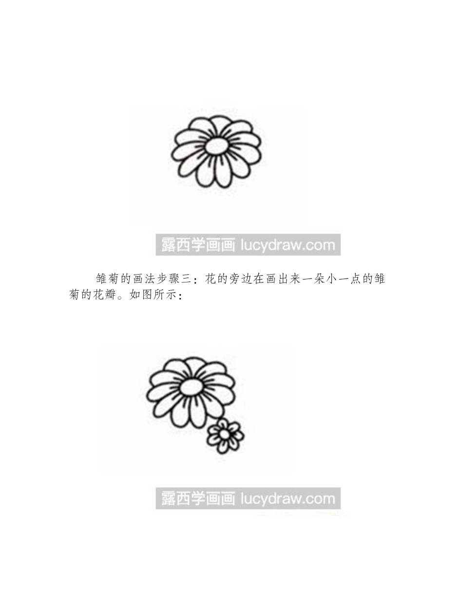 简笔画教程：雏菊的画法简笔画教程_第2页