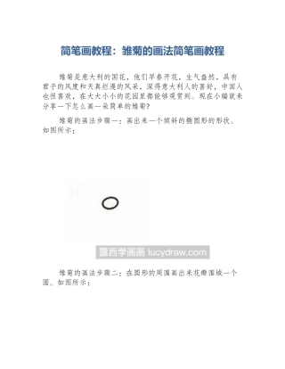 简笔画教程：雏菊的画法简笔画教程