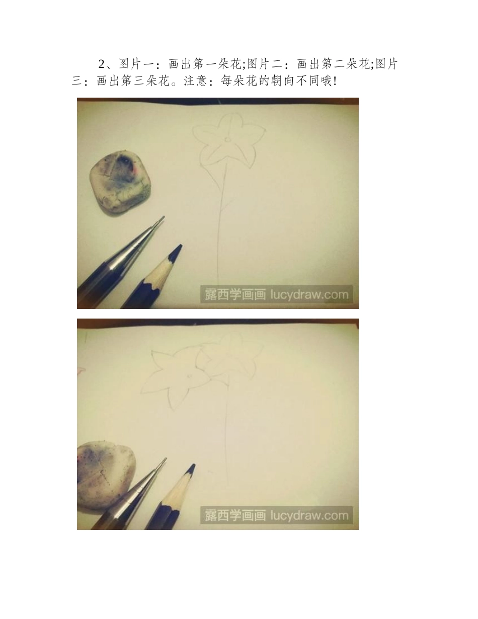 简笔画教程：教你画桔梗花简笔画教程_第2页