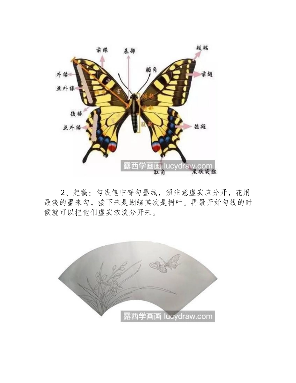 蝴蝶和兰花怎么画_具体的工笔画步骤有哪些_工笔画教程_第2页