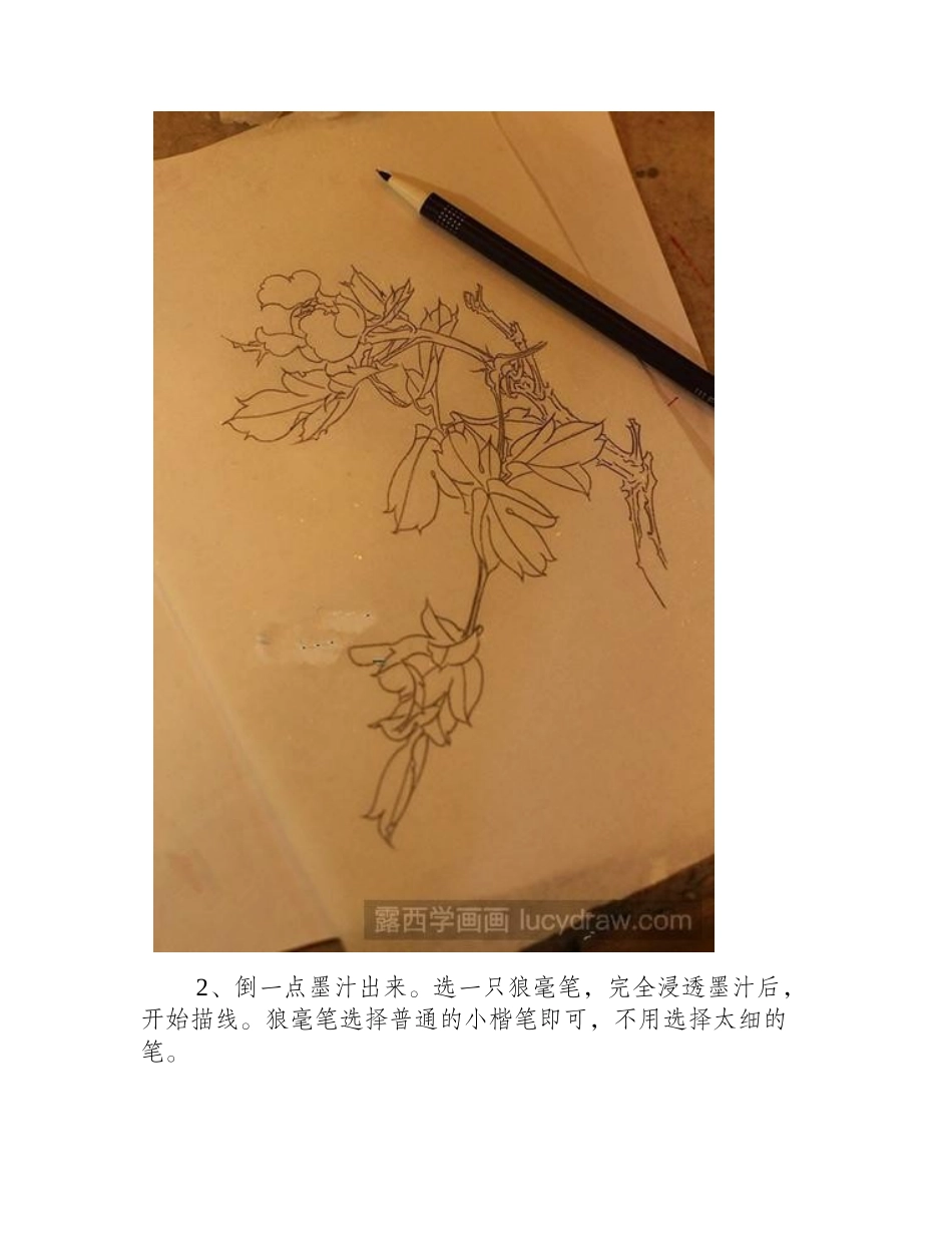 花卉的工笔画法工笔画教程_第2页