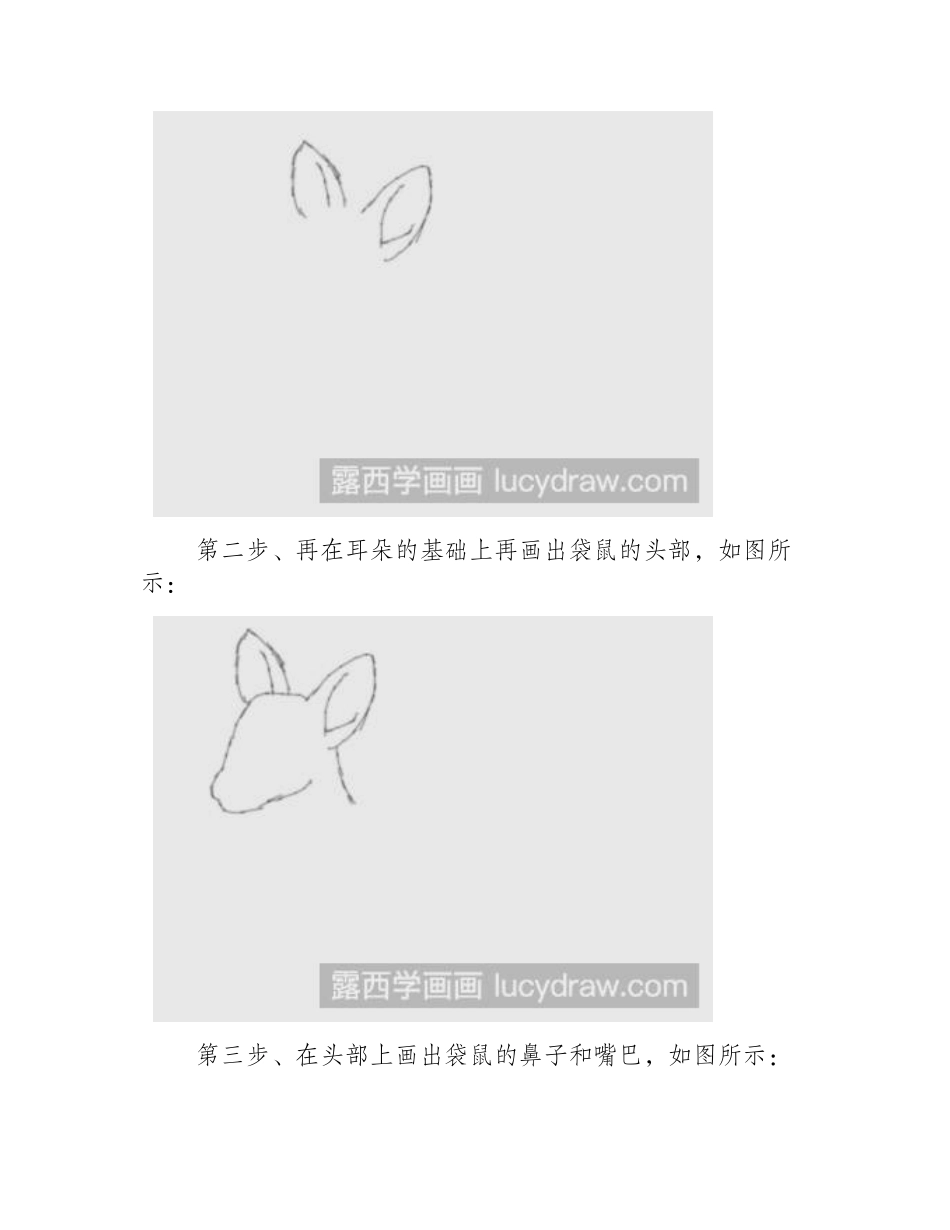 简笔画教程：教你画袋鼠简笔画教程_第2页