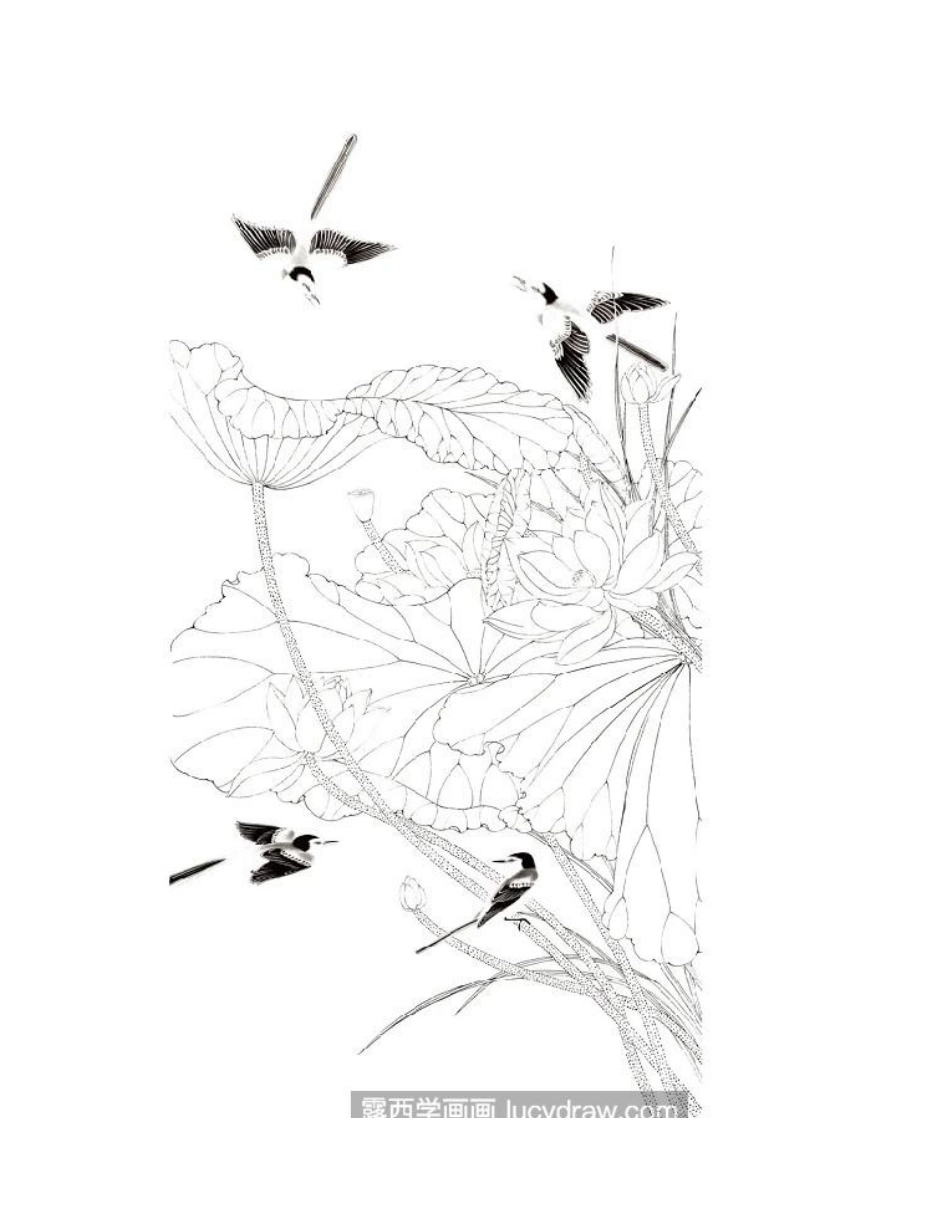 荷花鹡鸽鸟怎么画_有哪些绘画步骤_工笔画教程_第2页